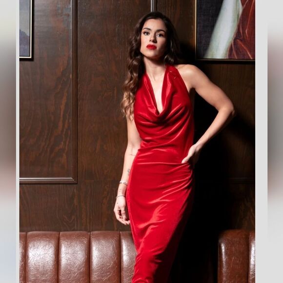 NWT ZARA VELVET MIDI DRESS - Picture 8 of 15